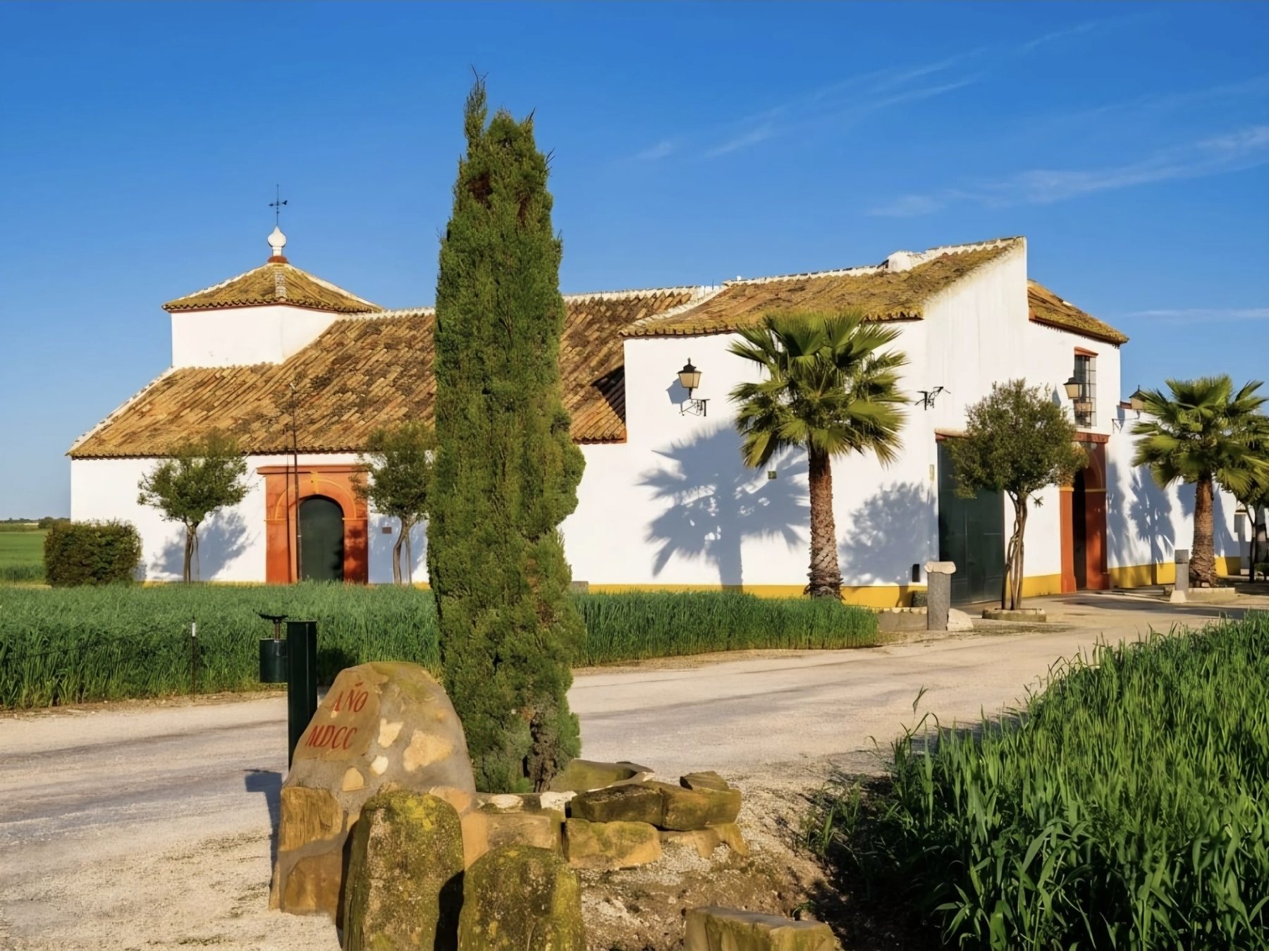 Molino de aceite encalado del año 1700 con torreón y palmeras en la campiña sevillana